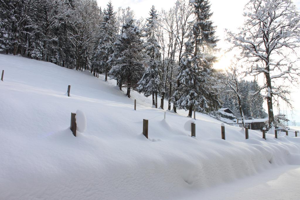 Apartment Am Birkenweg Oberndorf in Tirol Bilik gambar